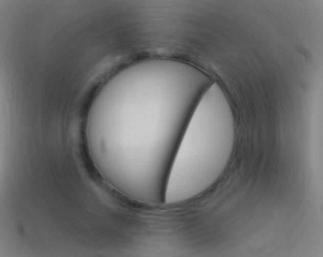 X0000114530738200910191009