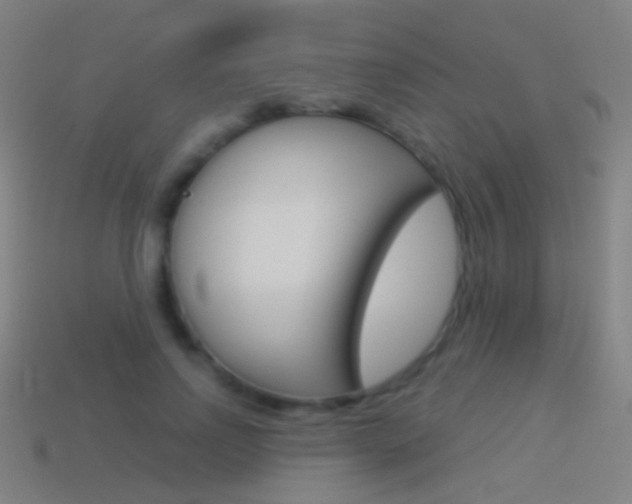 X0000114530742200910191010