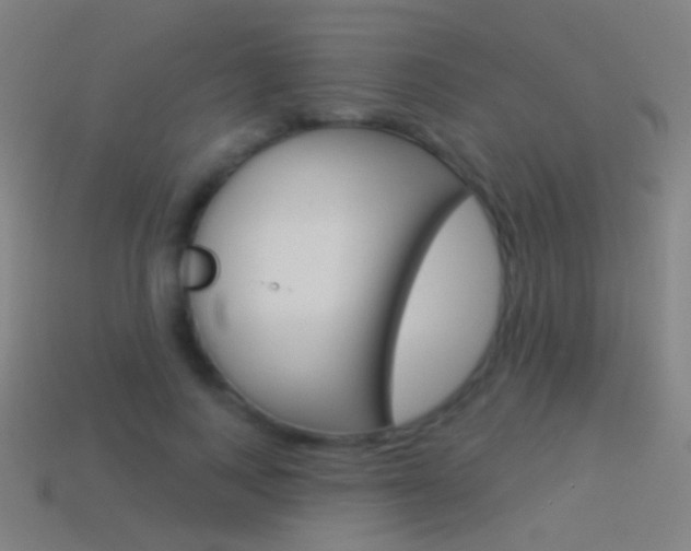 X0000114530743200910191010