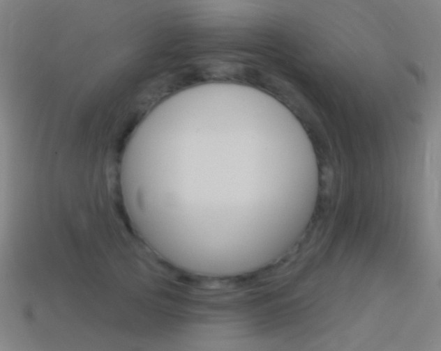 X0000114530753200910191010