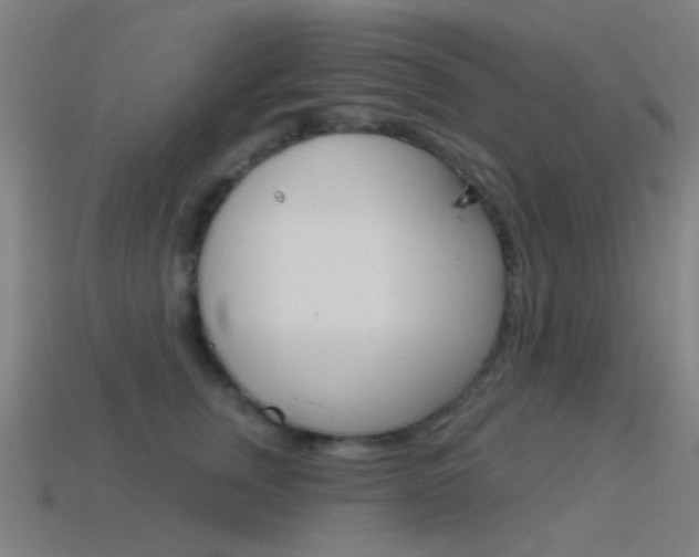 X0000114530759200910191010