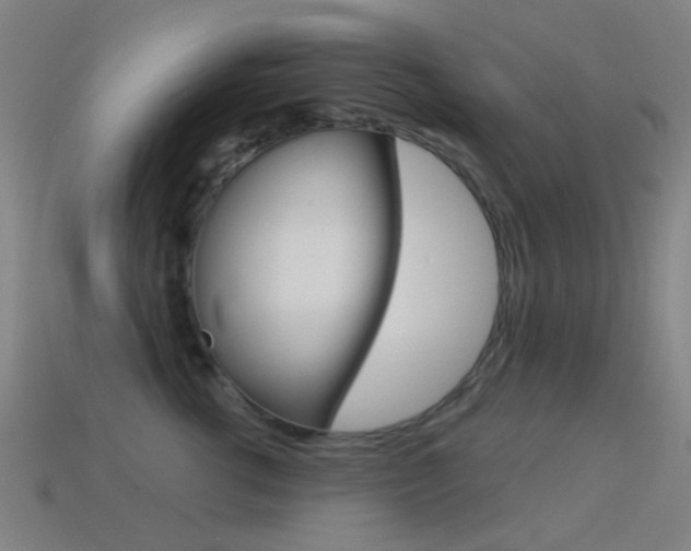 X0000114530762200910191010