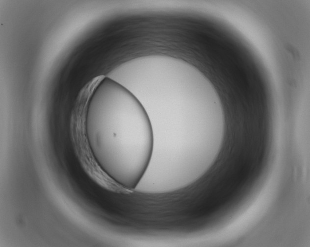 X0000114530766200910191010