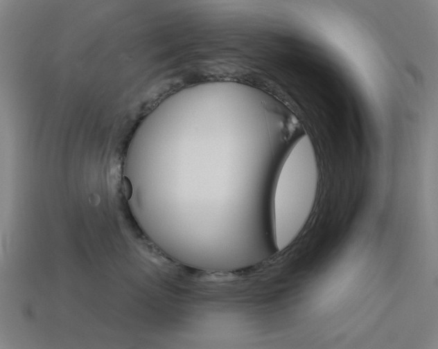 X0000114530767200910191010
