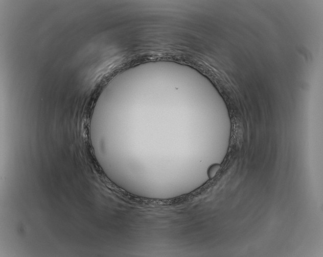 X0000114530770200910191009