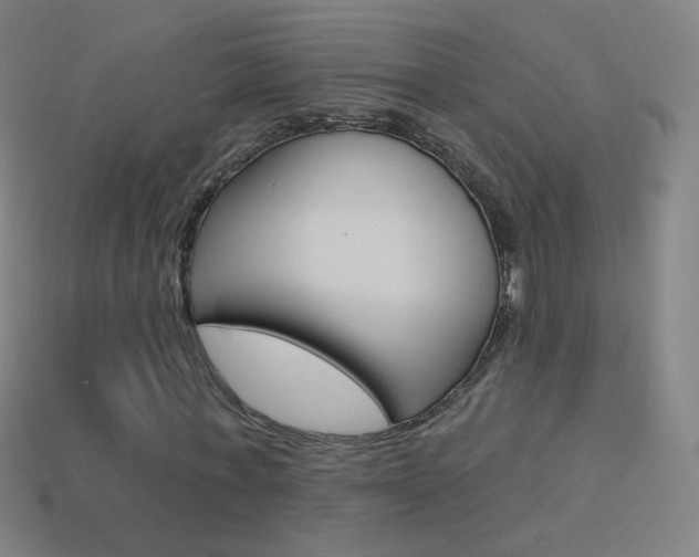 X0000114530771200910191009