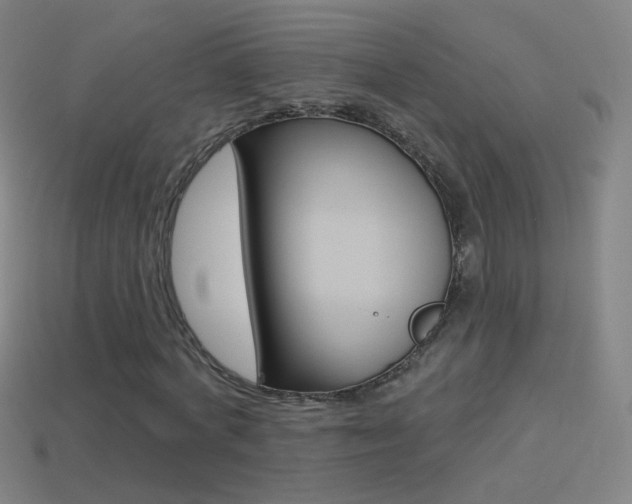 X0000114530772200910191009