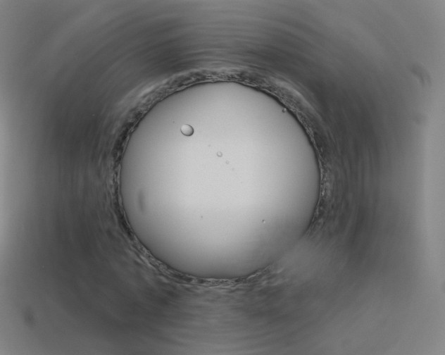 X0000114530773200910191009
