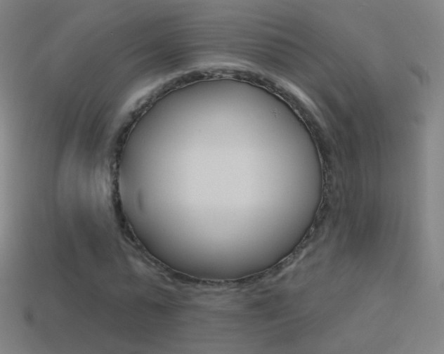 X0000114530775200910191009