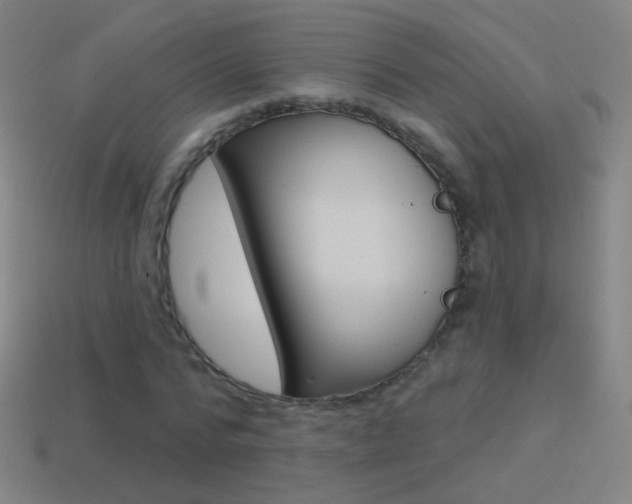 X0000114530776200910191009