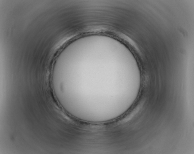 X0000114530778200910191009