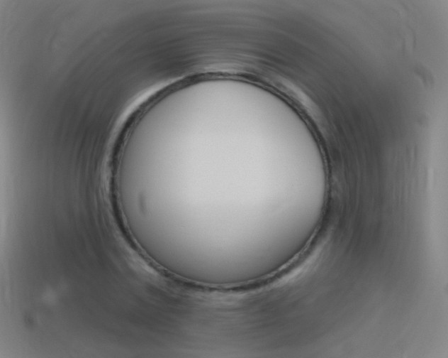 X0000114530779200910191009