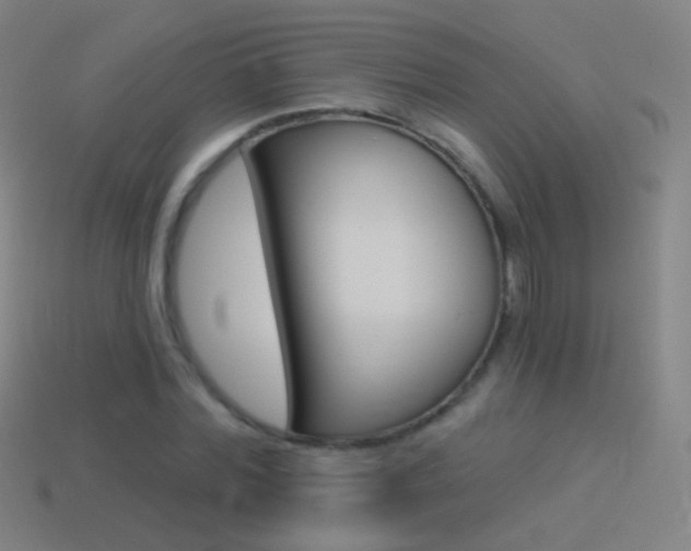 X0000114530780200910191009