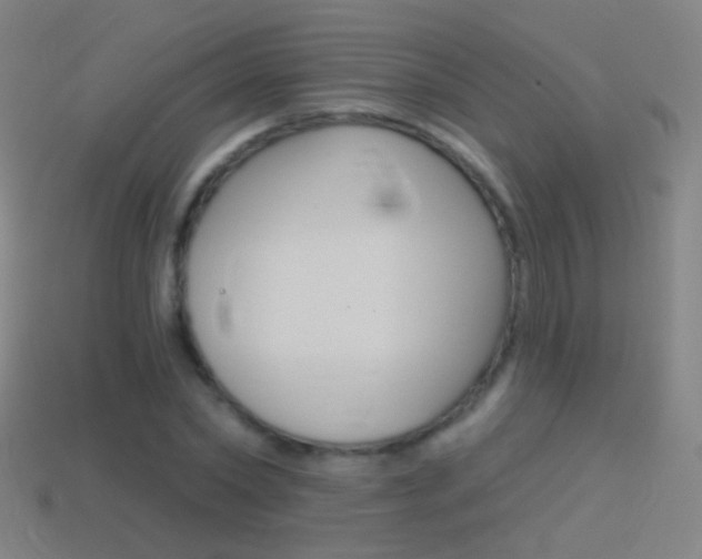 X0000114530782200910191009