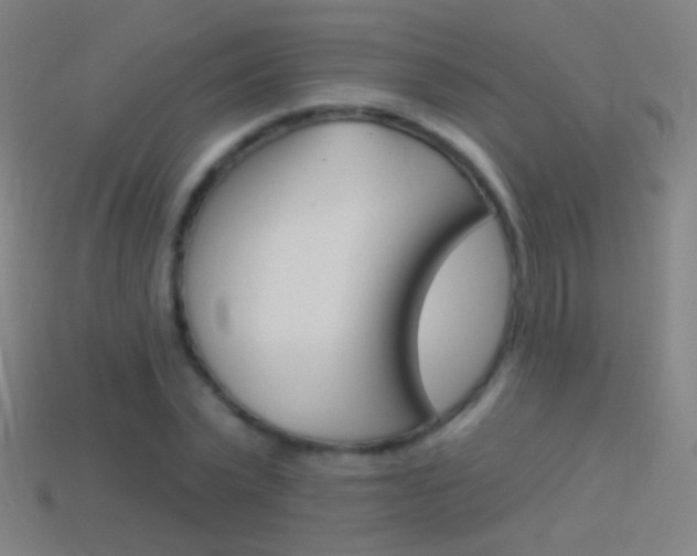 X0000114530783200910191009