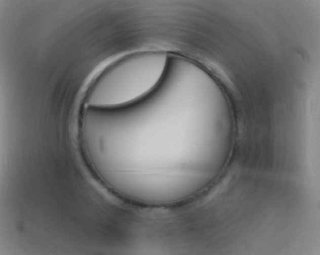X0000114530784200910191009