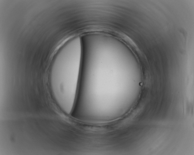X0000114530786200910191009