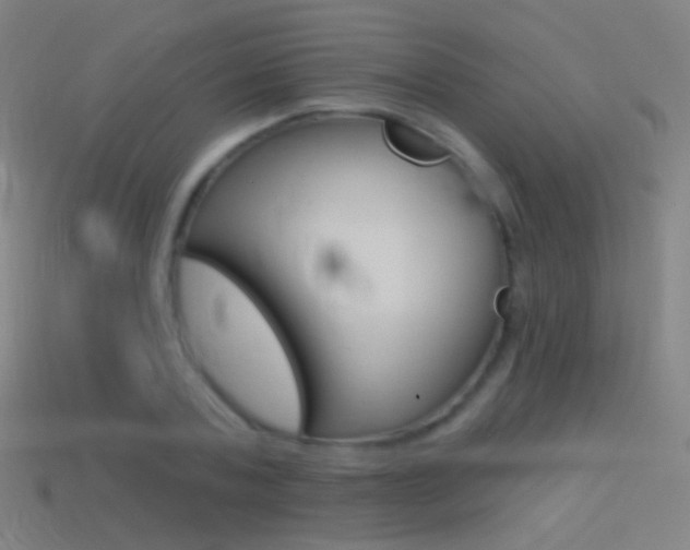 X0000114530787200910191009