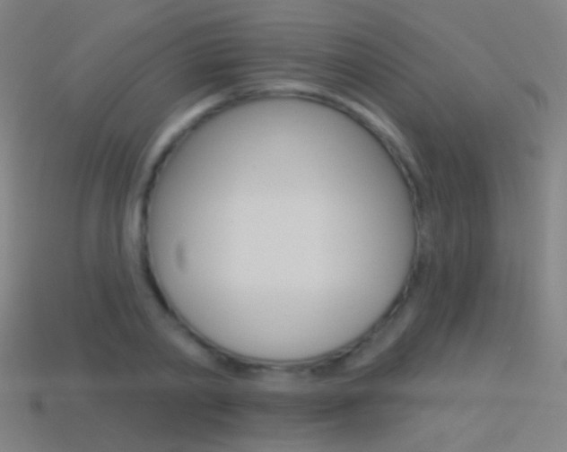 X0000114530790200910191009