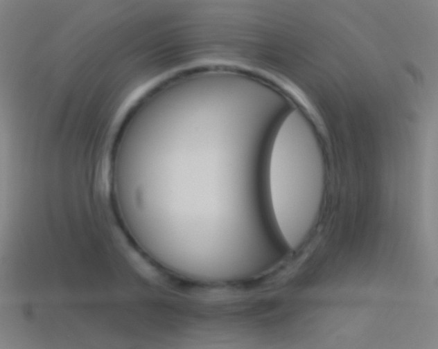 X0000114530791200910191009