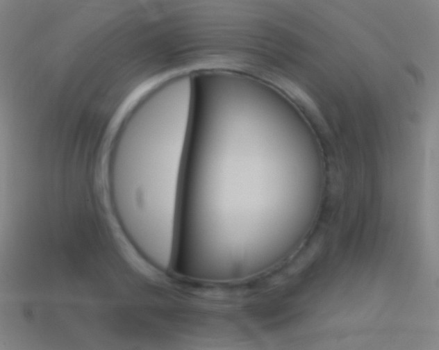 X0000114530792200910191009