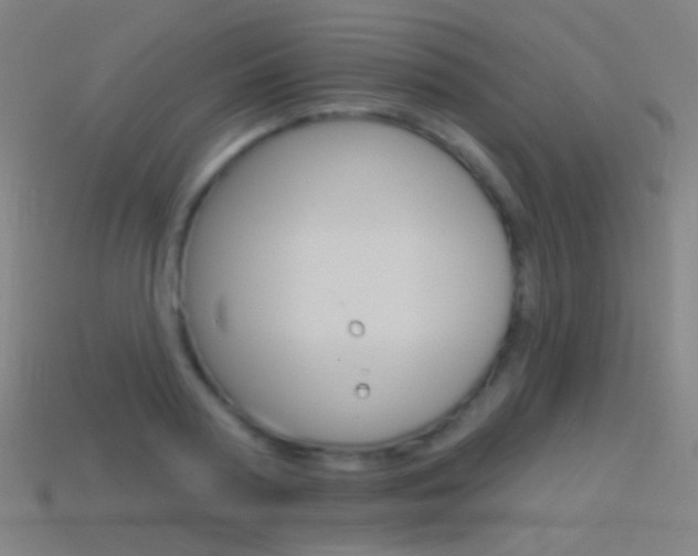 X0000114530794200910191009