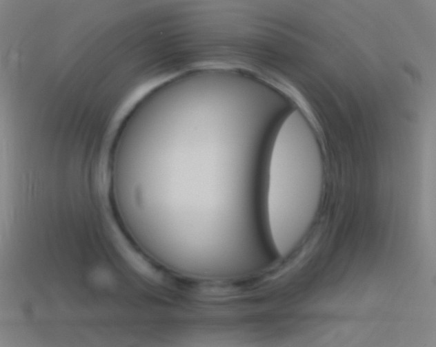 X0000114530795200910191009
