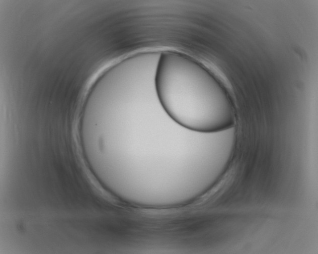 X0000114530797200910191009