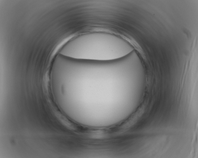X0000114530798200910191009