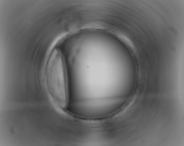 X0000114530800200910191009
