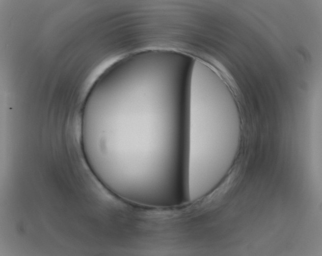 X0000114530804200910191009