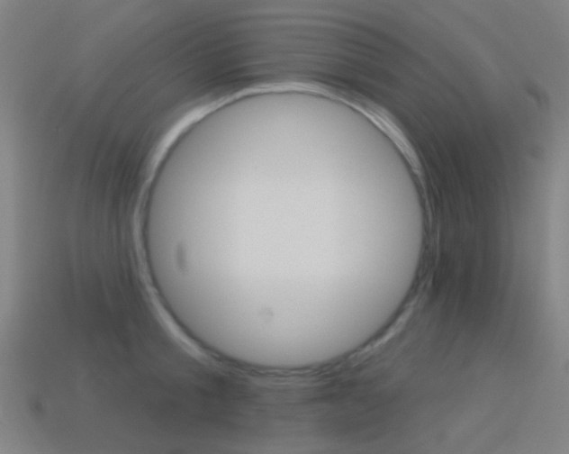 X0000114530805200910191009