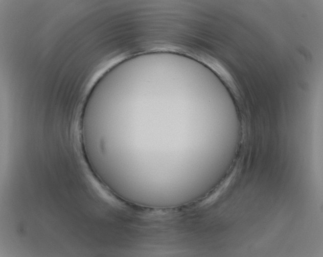 X0000114530806200910191009