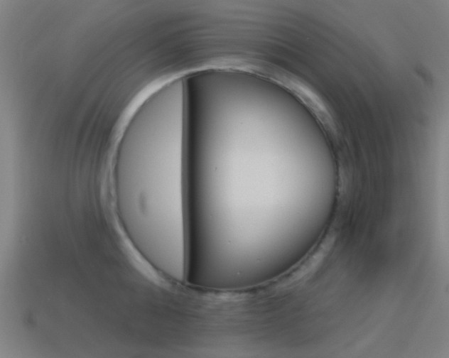 X0000114530808200910191009