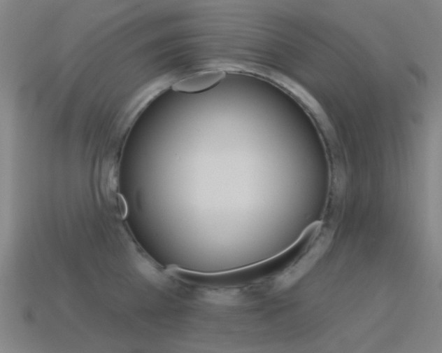 X0000114530809200910191009