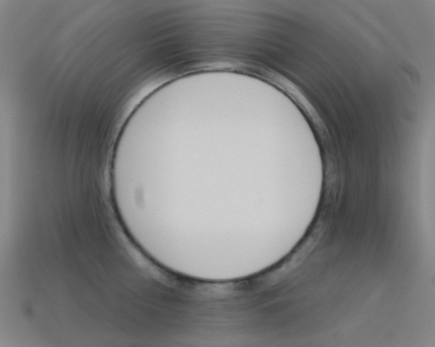 X0000114530810200910191009
