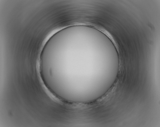 X0000114530811200910191009
