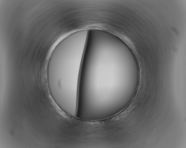 X0000114530816200910191009