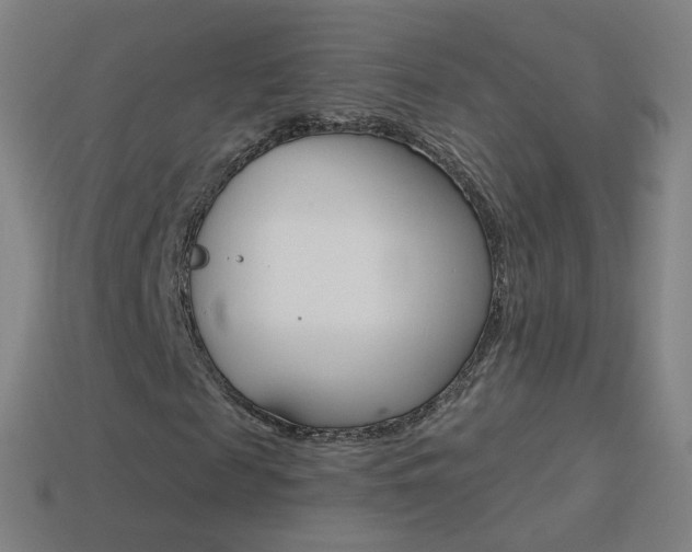 X0000114530817200910191008