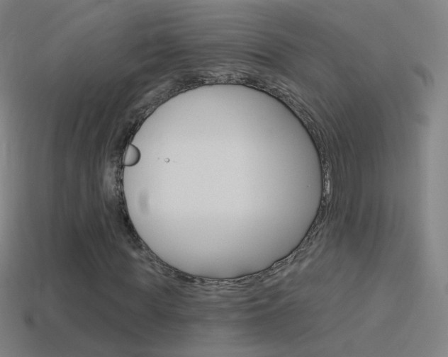 X0000114530819200910191008
