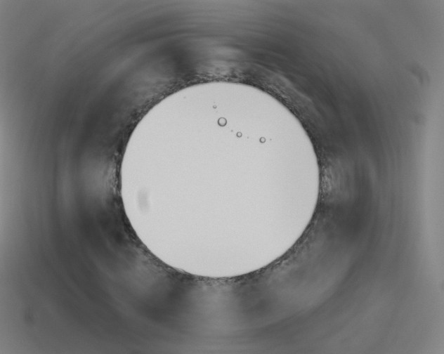 X0000114530820200910191008