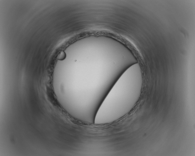 X0000114530823200910191008
