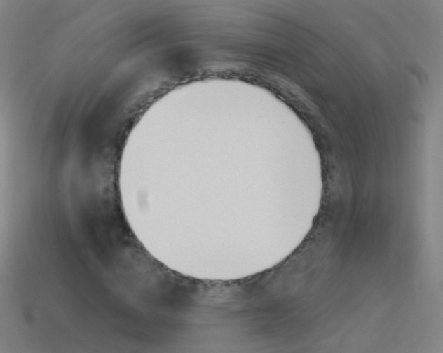 X0000114530824200910191008