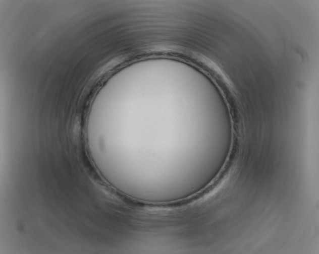 X0000114530825200910191008