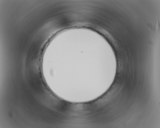 X0000114530828200910191008