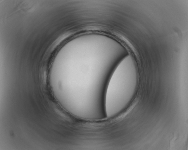 X0000114530829200910191008