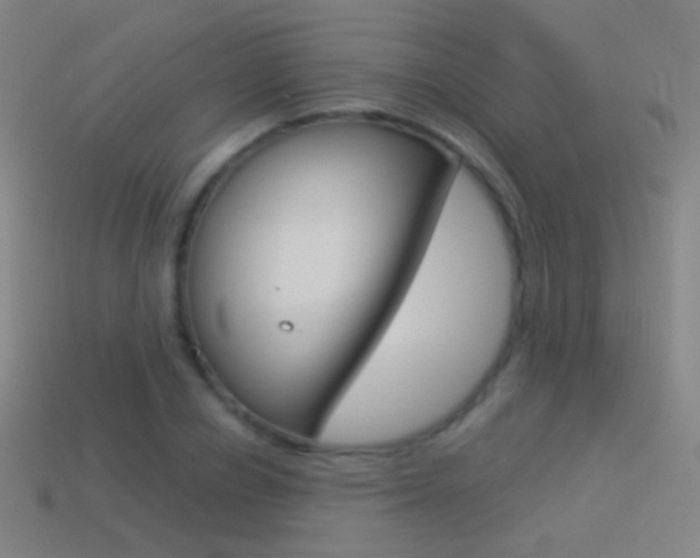 X0000114530834200910191008
