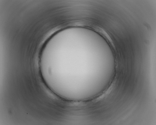 X0000114530835200910191008