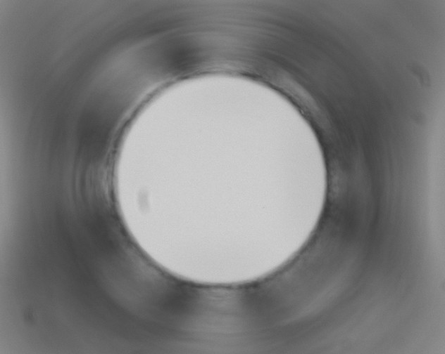 X0000114530836200910191008