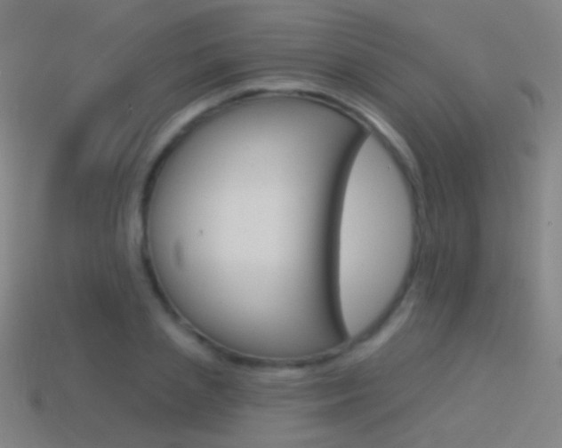 X0000114530837200910191008